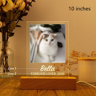 Personalized Pet Commemorative Plaque